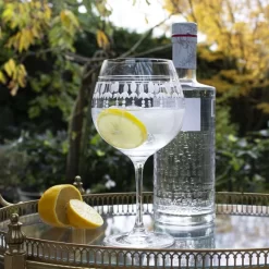 Royal Scot - Nouveau Gin & Tonic Copa Glass Single Gift Boxed -Household Glassware nou1gin 02 1000 1607443341
