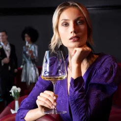 Riedel Winewings Sauvignon Blanc Wine Glass -Household Glassware wingsb4